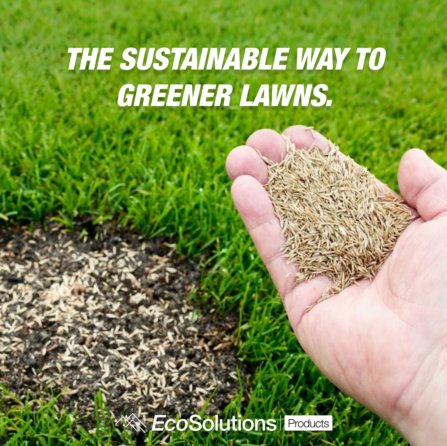 Premium Grass Seed Blend