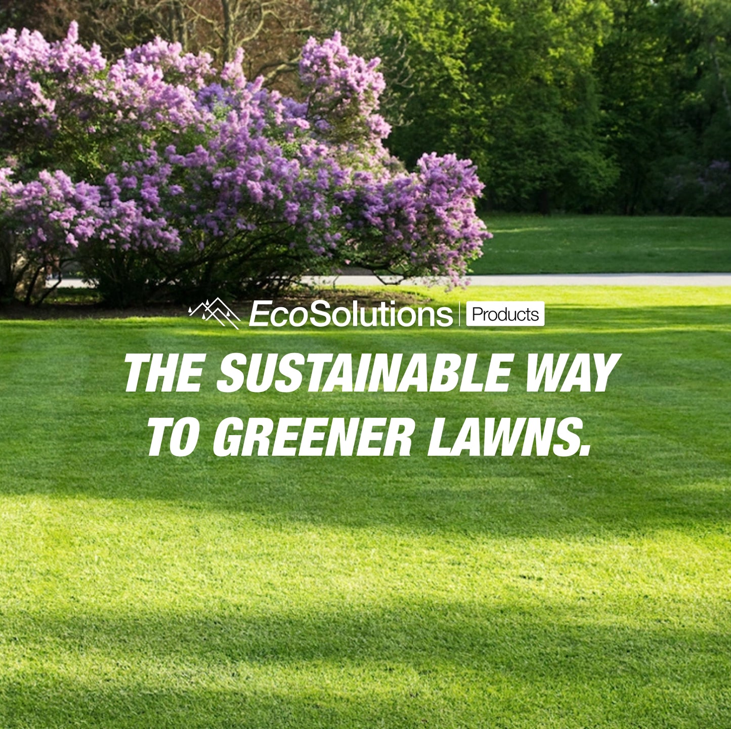 EcoSolutions banner on lush green lawn with blooming lilac shrub; text reads “The sustainable way to greener lawns.