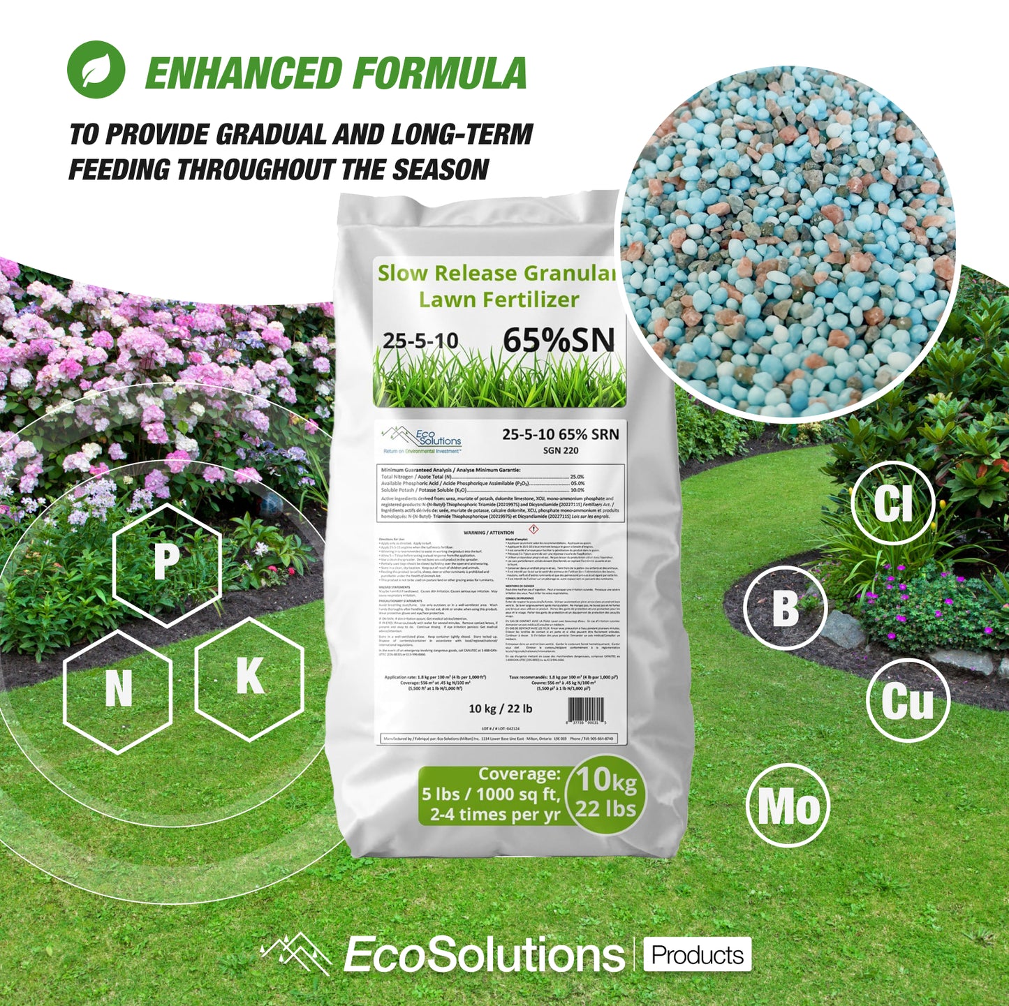 EcoSolutions 25‑5‑10 slow‑release lawn fertilizer bag with nutrient icons (N, P, K, B, Cu, Mo, Cl) and close‑up of blue granules on lush yard.