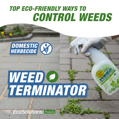Weed Terminator
